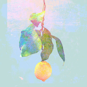 裸体裸乳被🍑免费看照片
